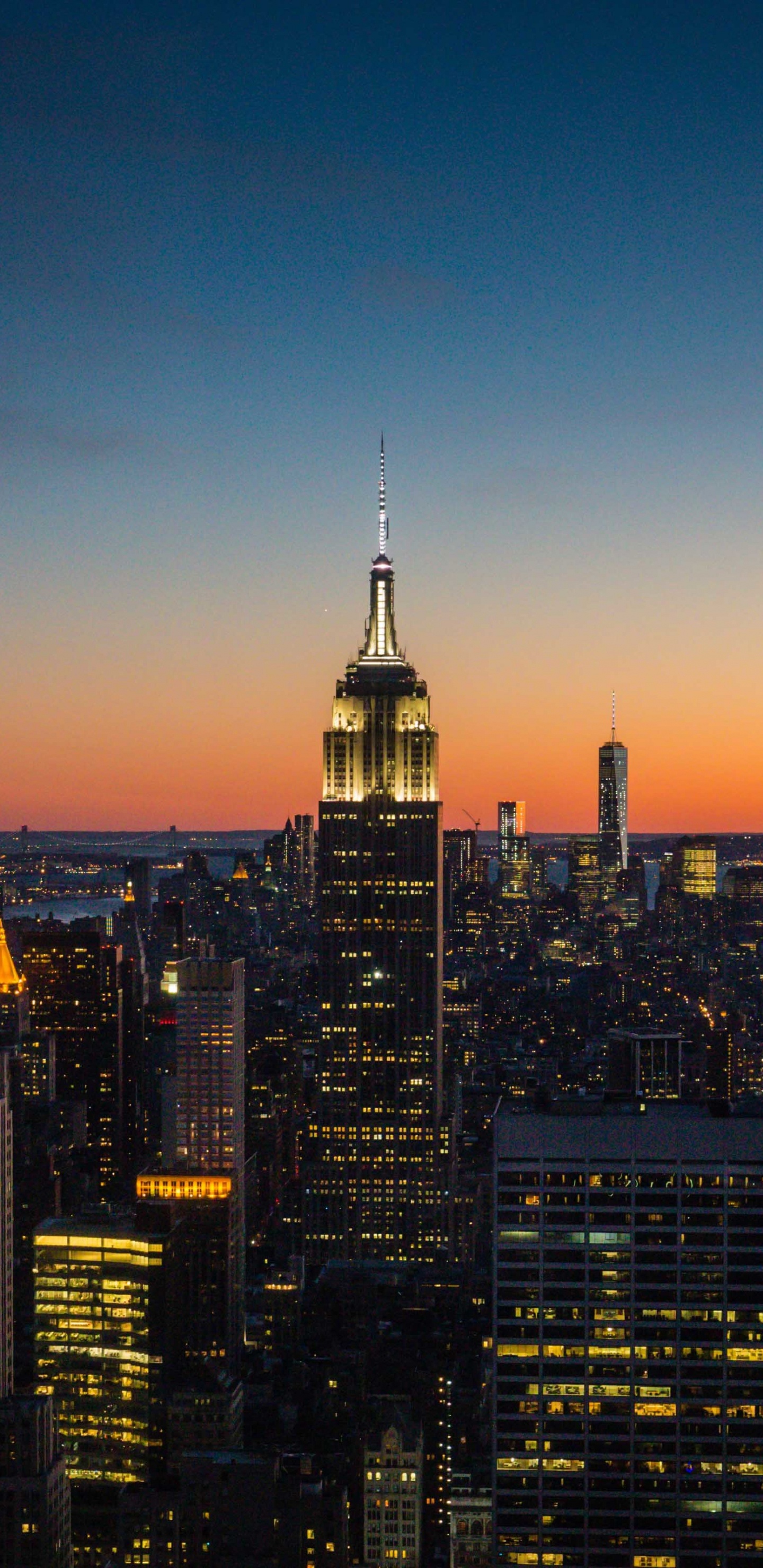 Обои небоскреб, город, городской пейзаж, городской район, линия горизонта в разрешении 1440x2960