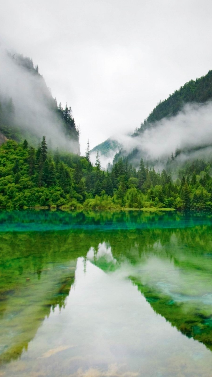 Обои природный заповедник, природа, гидроресурсы, нагорье, растительность в разрешении 720x1280