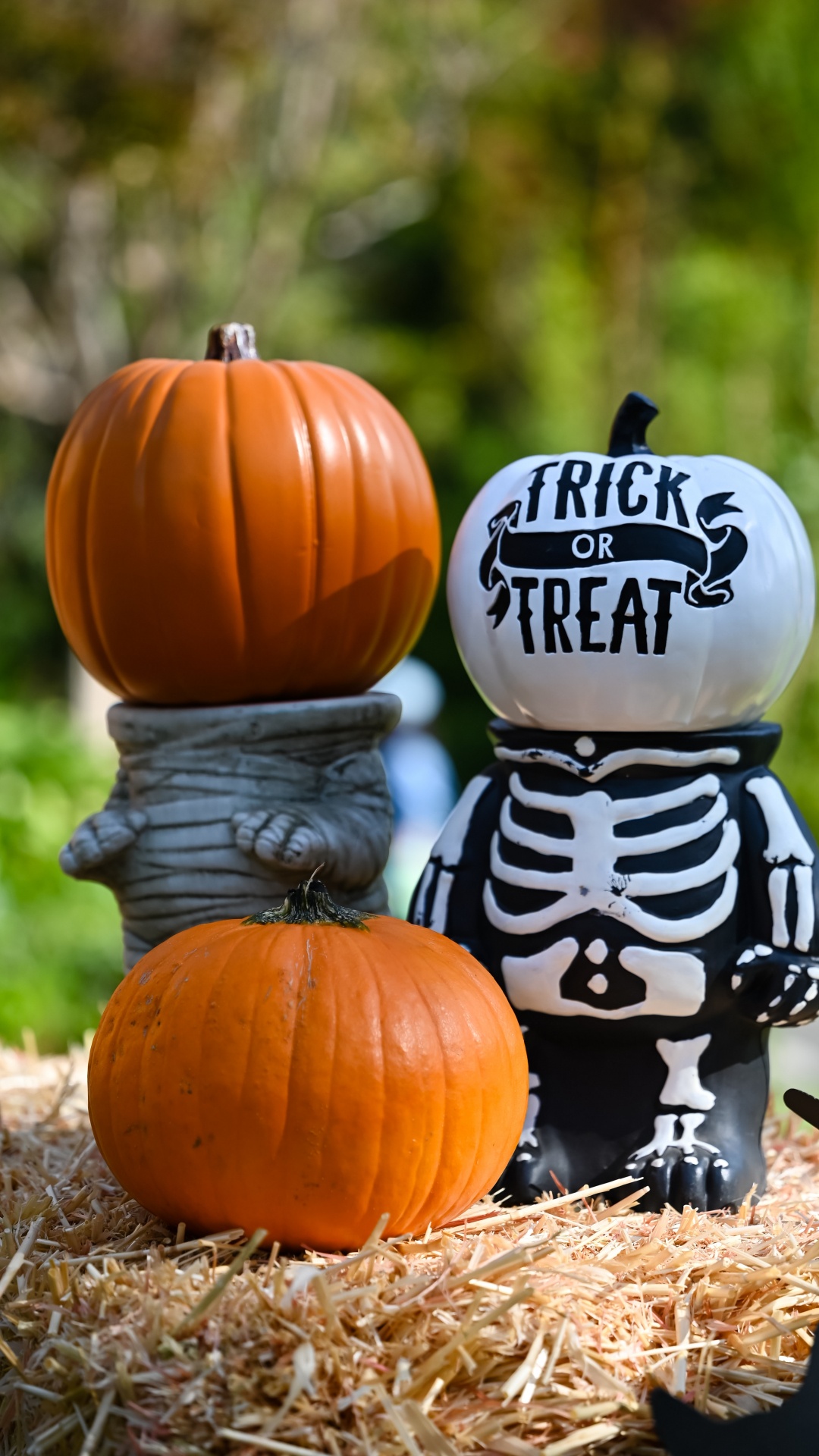 Обои Хэллоуин, эстетический Хэллоуин, костюм, костюм на Хэллоуин, вечеринка в разрешении 1080x1920