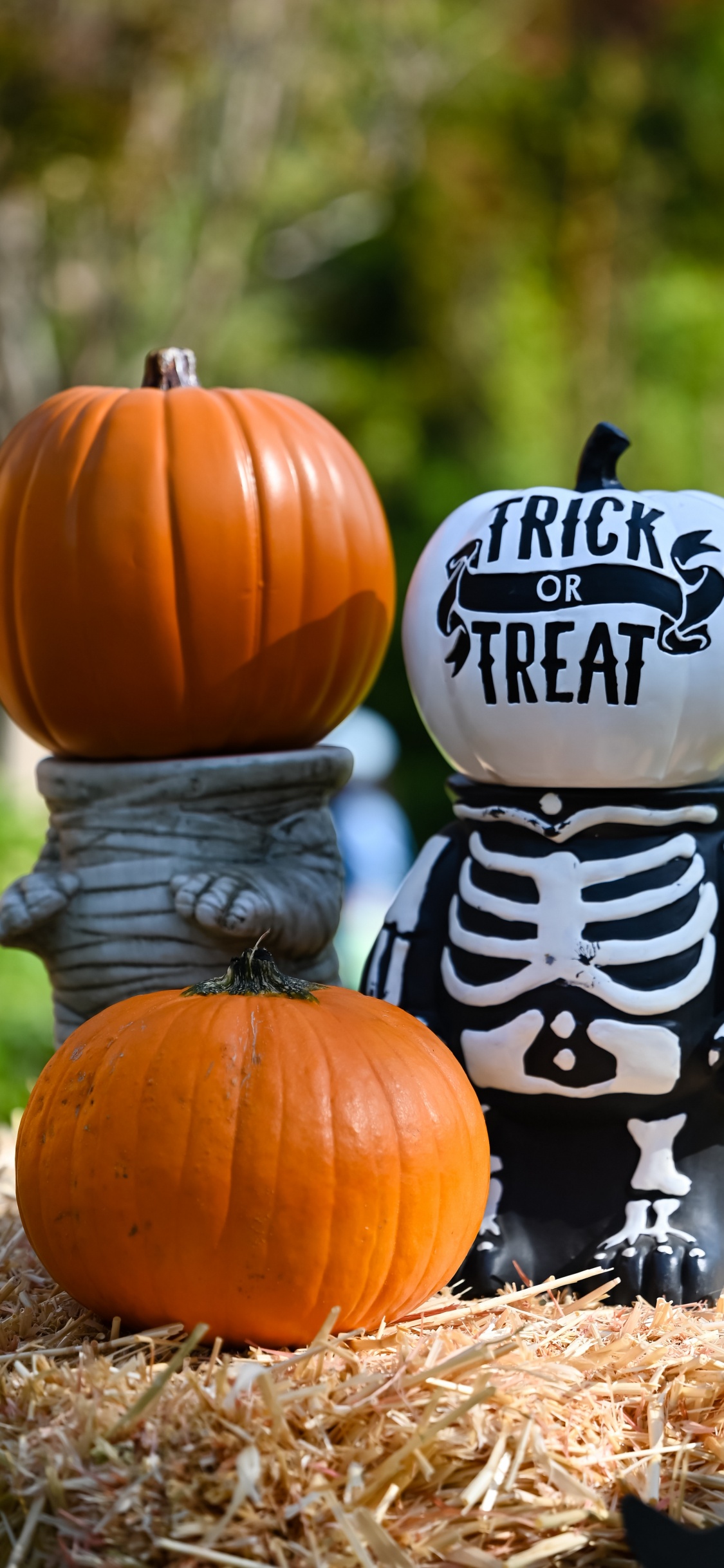 Обои Хэллоуин, эстетический Хэллоуин, костюм, костюм на Хэллоуин, вечеринка в разрешении 1125x2436