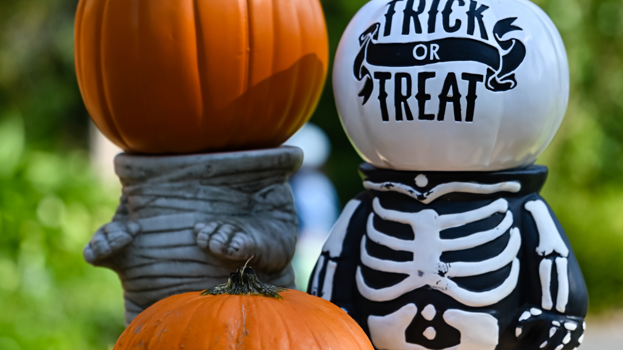 Обои Хэллоуин, эстетический Хэллоуин, костюм, костюм на Хэллоуин, вечеринка в разрешении 1280x720