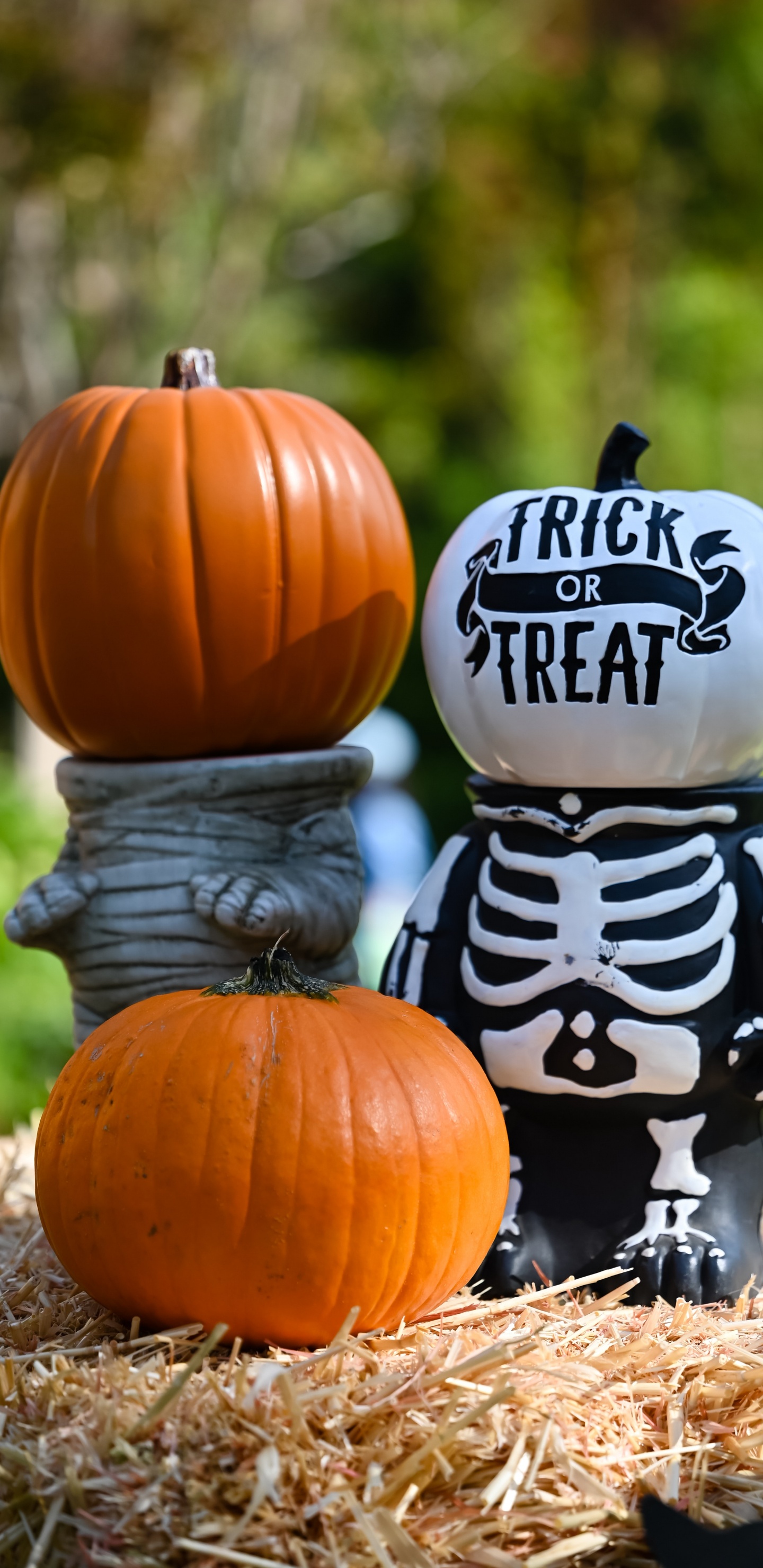 Обои Хэллоуин, эстетический Хэллоуин, костюм, костюм на Хэллоуин, вечеринка в разрешении 1440x2960