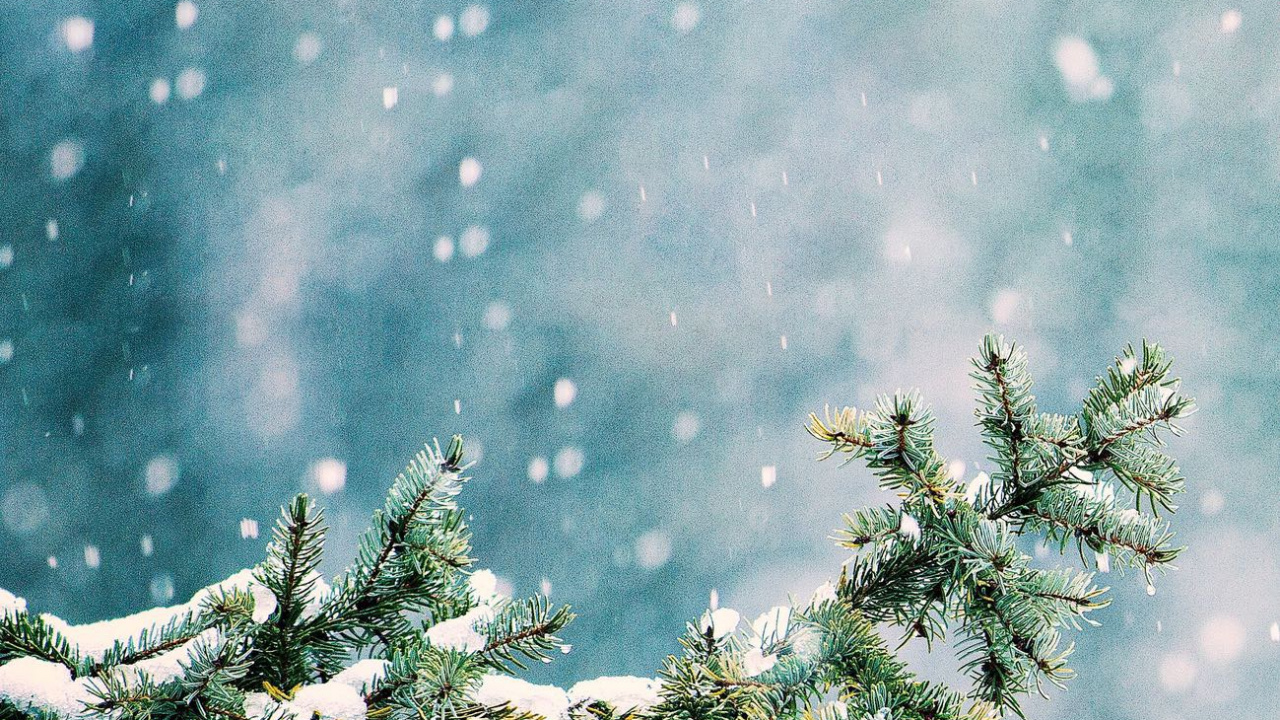 Обои снег, атмосфера, ветвь, мир, природный ландшафт в разрешении 1280x720