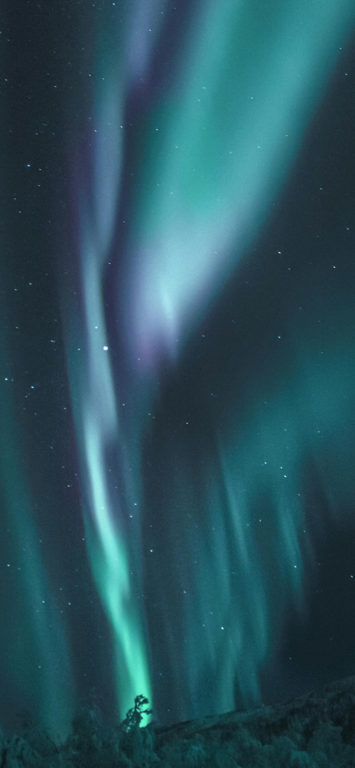 Обои сине-зеленый цвет ночного неба, Аврора, цветной, синий, ночное небо в разрешении 1242x2688