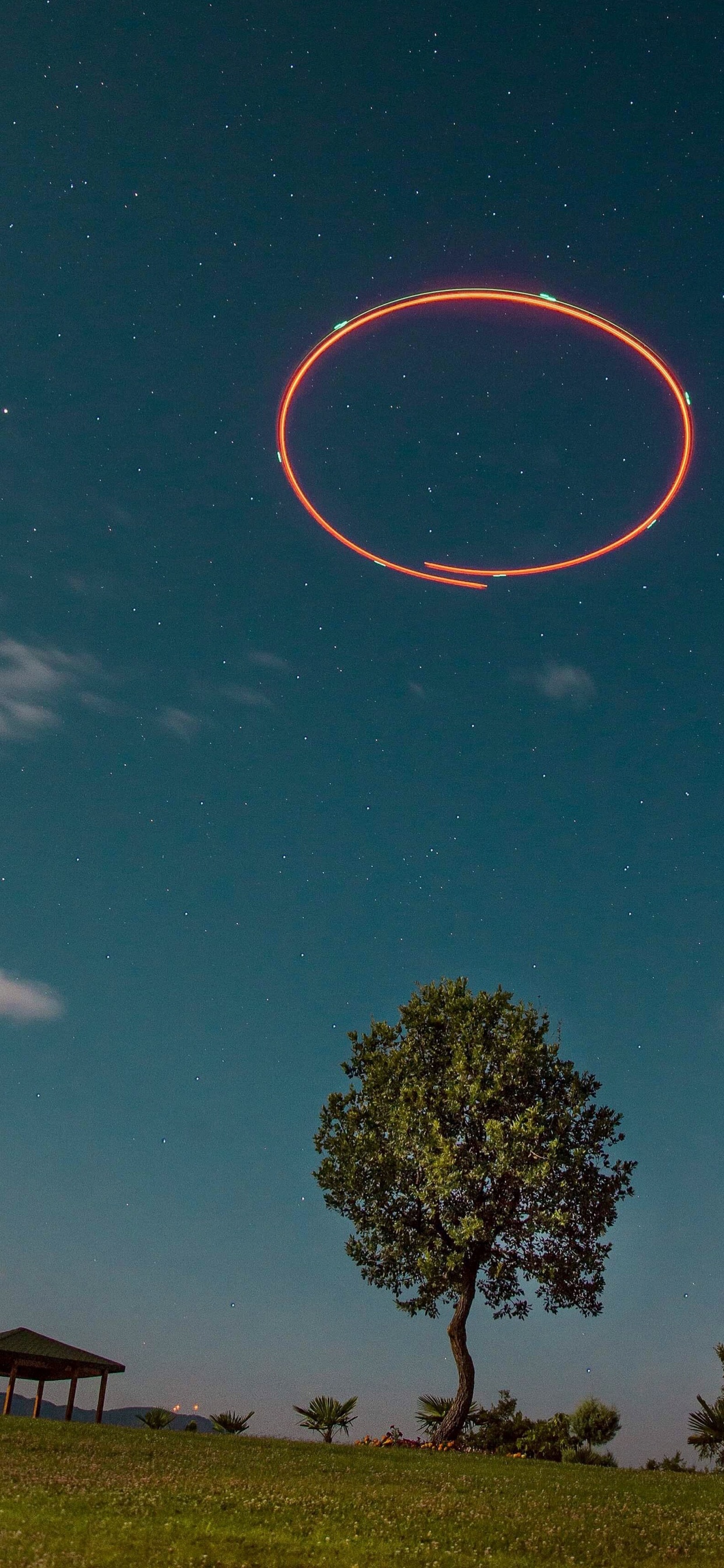 Обои горизонт, Вселенная, apple, неопознанный летающий объект, дерево в разрешении 1242x2688