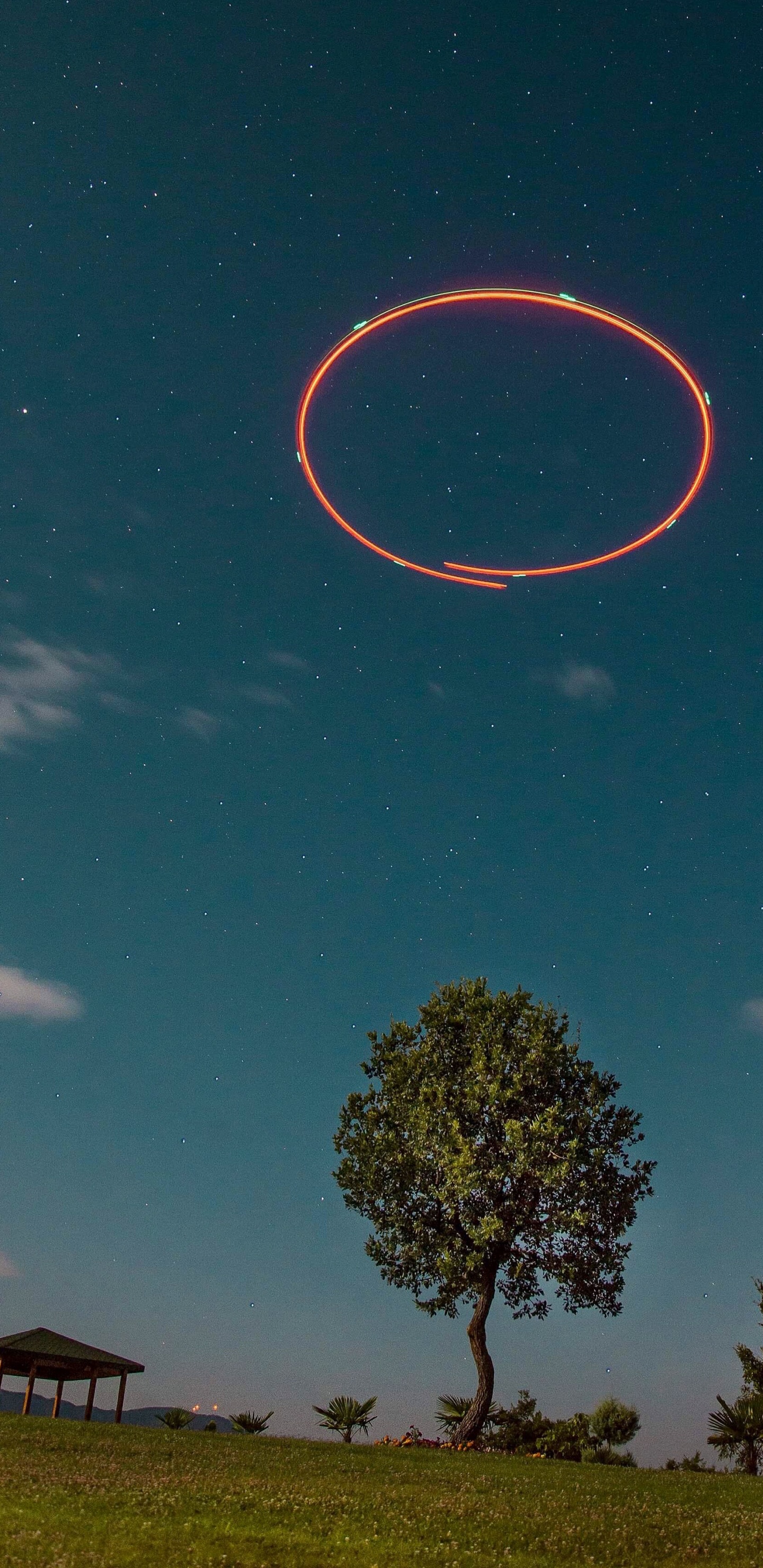 Обои горизонт, Вселенная, apple, неопознанный летающий объект, дерево в разрешении 1440x2960