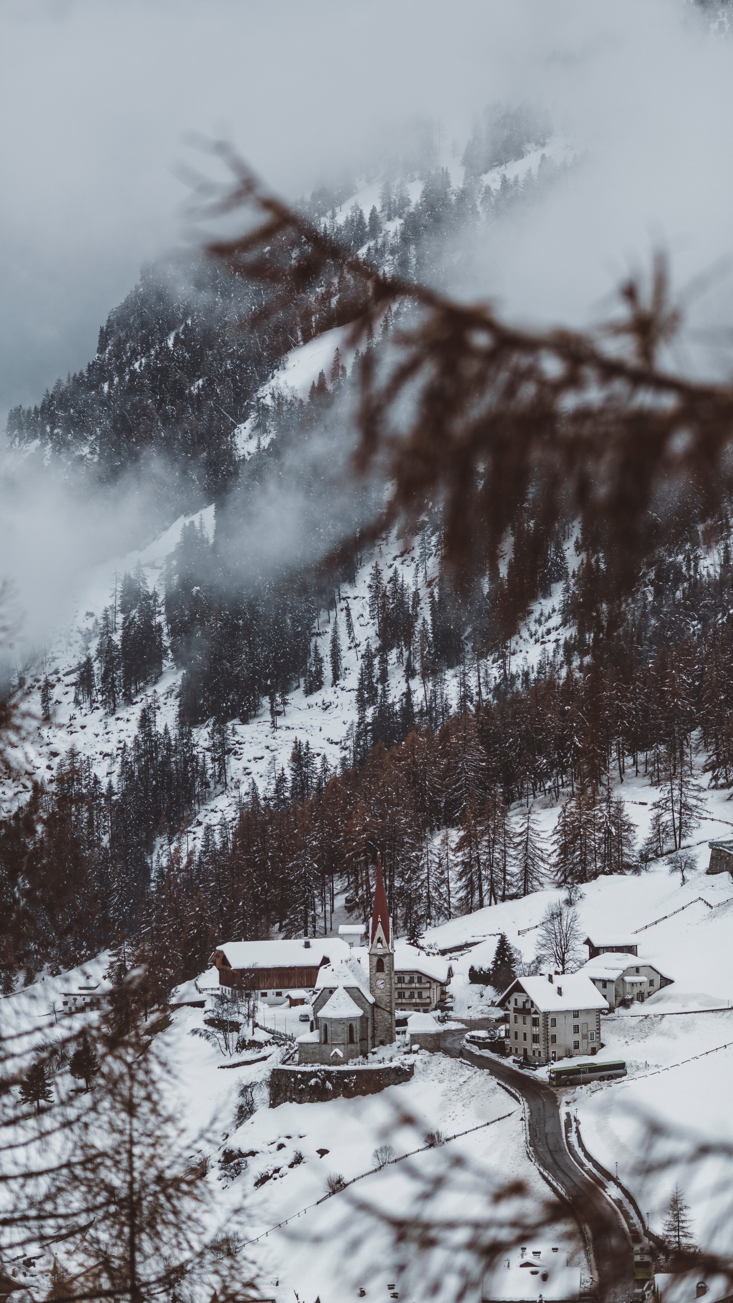 Обои зима, снег, дерево, вода, природный ландшафт в разрешении 1440x2560