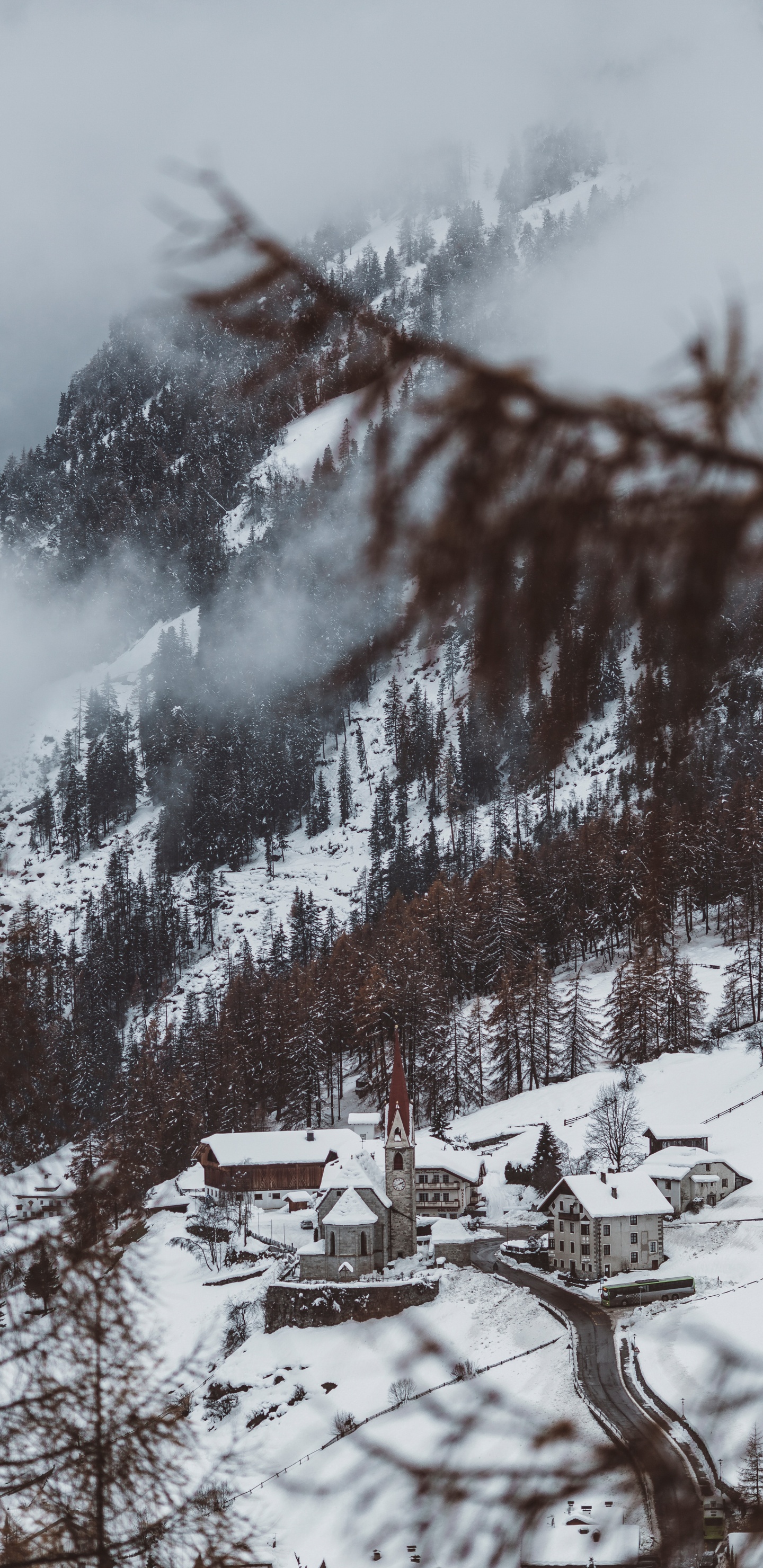 Обои зима, снег, дерево, вода, природный ландшафт в разрешении 1440x2960