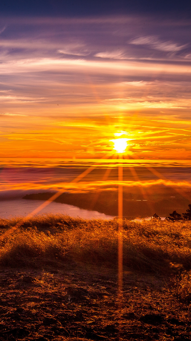 Обои облако, вечер, горизонт, небо, послесвечение в разрешении 750x1334