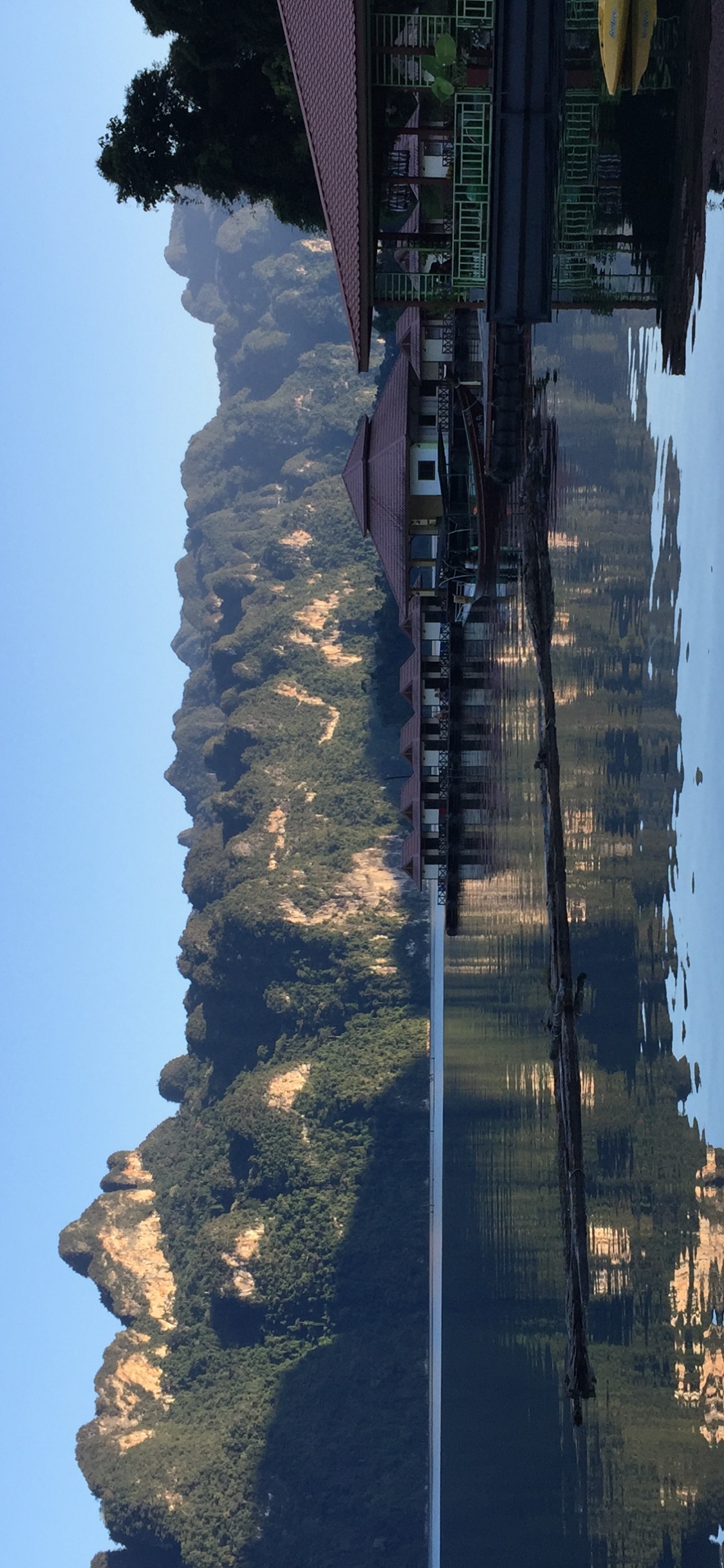 Обои отражение, вода, водоем, ночь, природа в разрешении 1125x2436