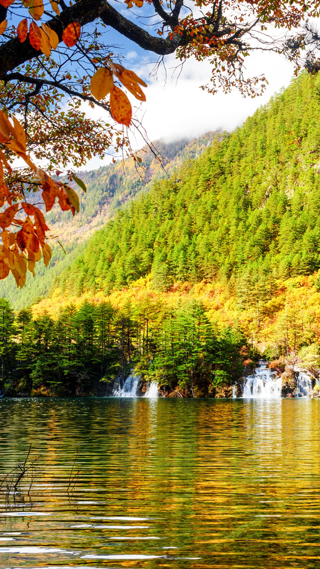 Обои природа, водоем, отражение, дерево, растительность в разрешении 1080x1920