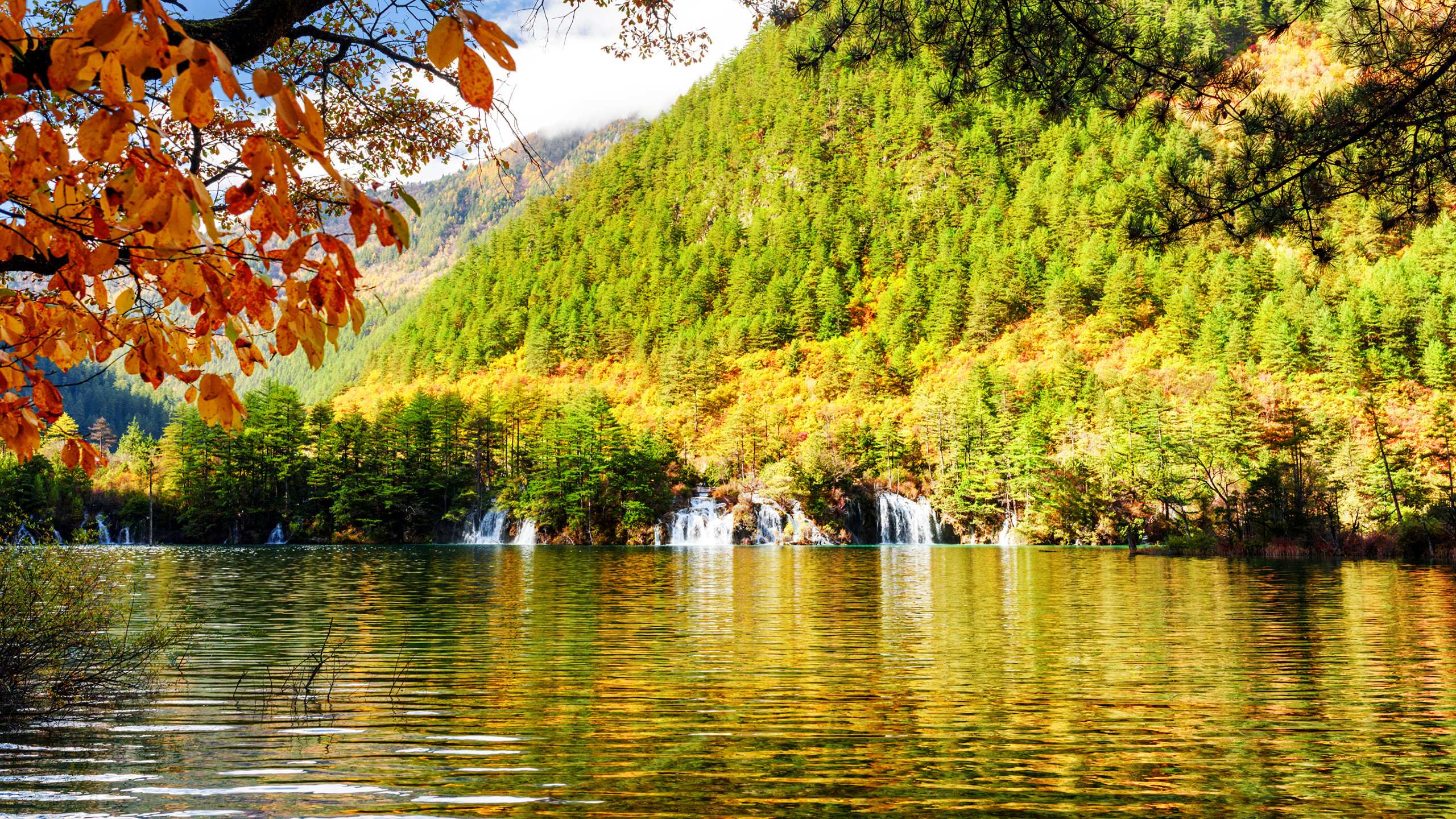 Обои природа, водоем, отражение, дерево, растительность в разрешении 2560x1440