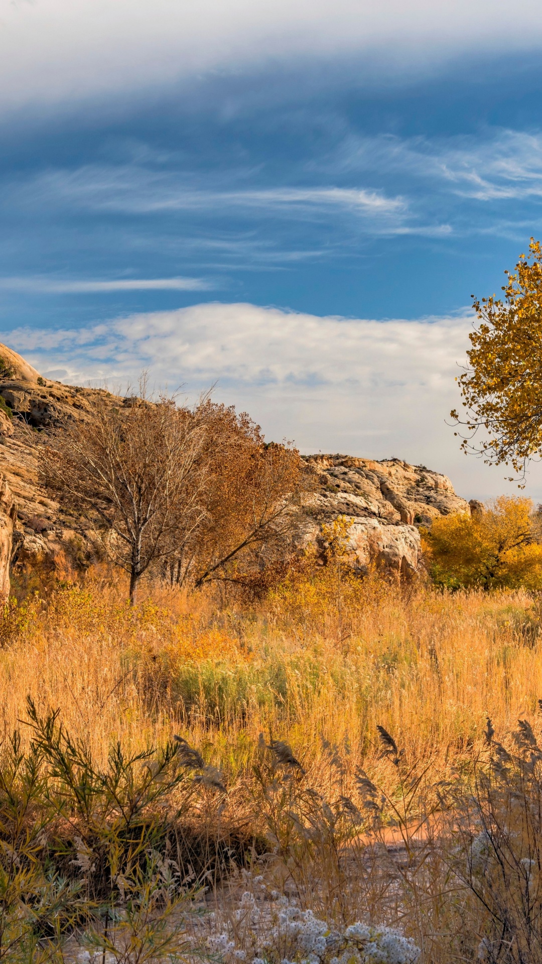 Обои дикая местность, облако, растение, вода, природный ландшафт в разрешении 1080x1920