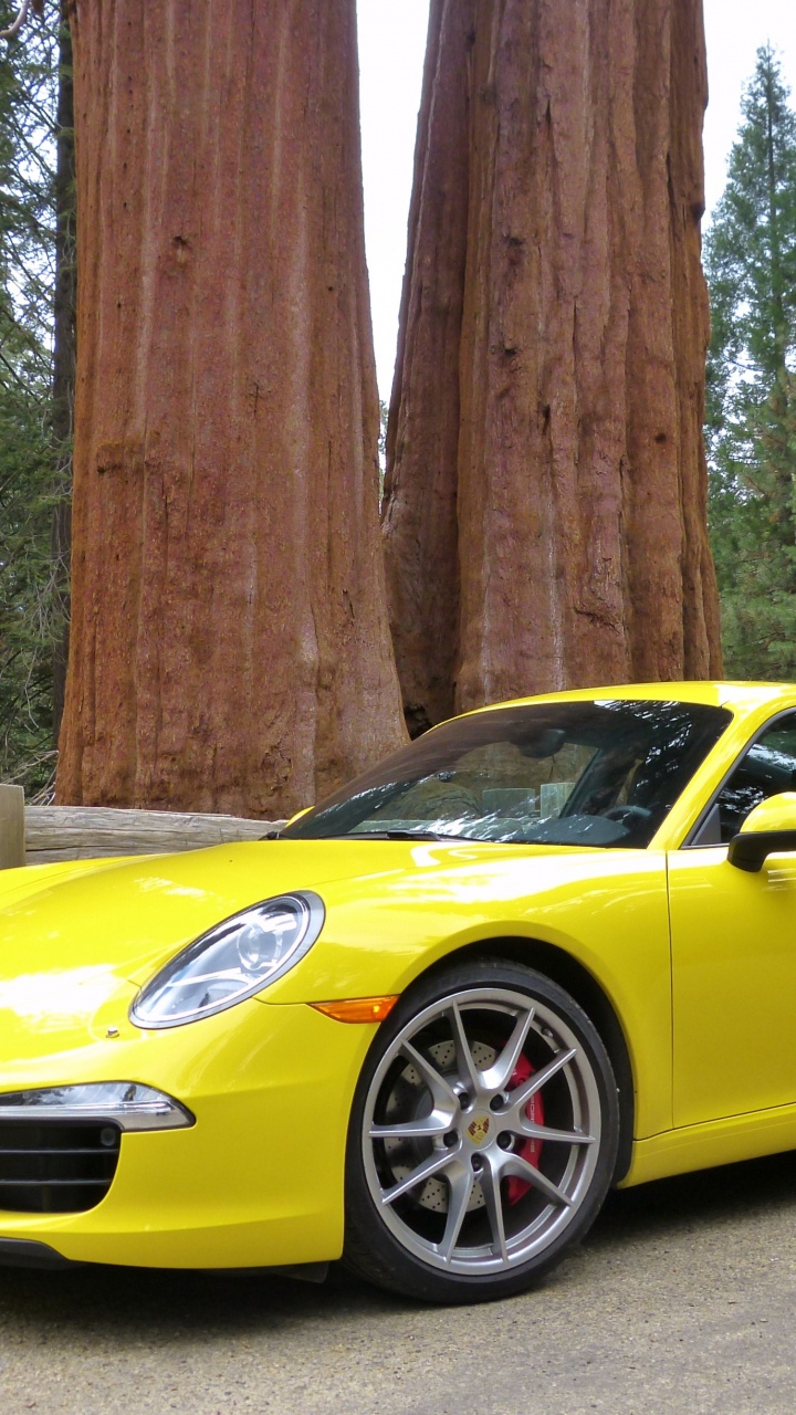 Обои Порше, спорткар, авто, 2012 Porsche 911 Carrera S, суперкар в разрешении 720x1280