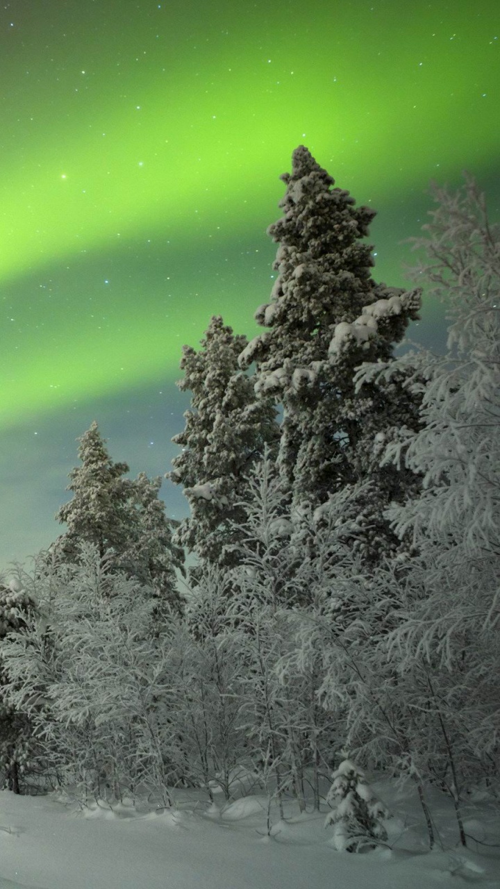 Обои Аврора, природа, зима, дерево, замораживание в разрешении 720x1280