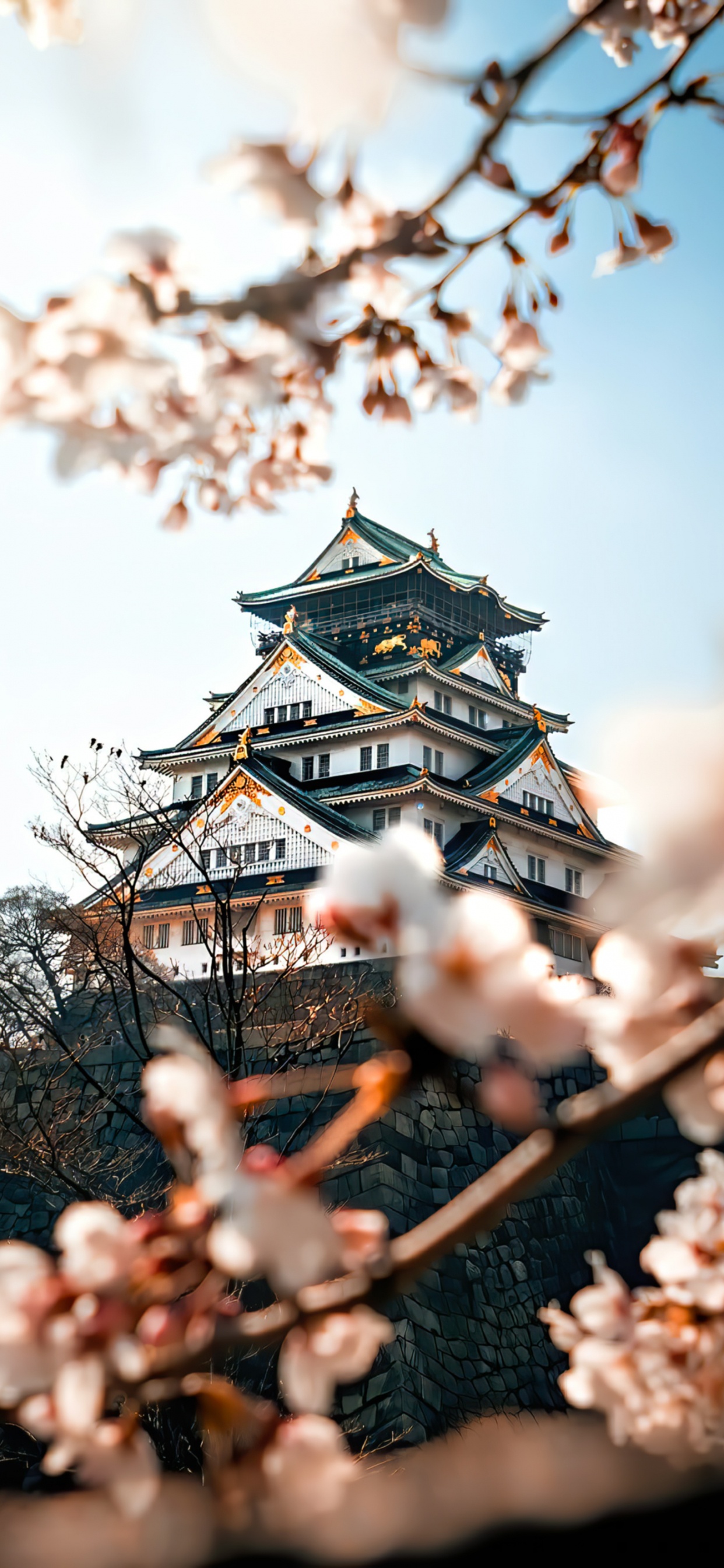 Обои Замок В Осаке, замок Осака, цветение вишни, Замок Хиросима, замок в разрешении 1242x2688
