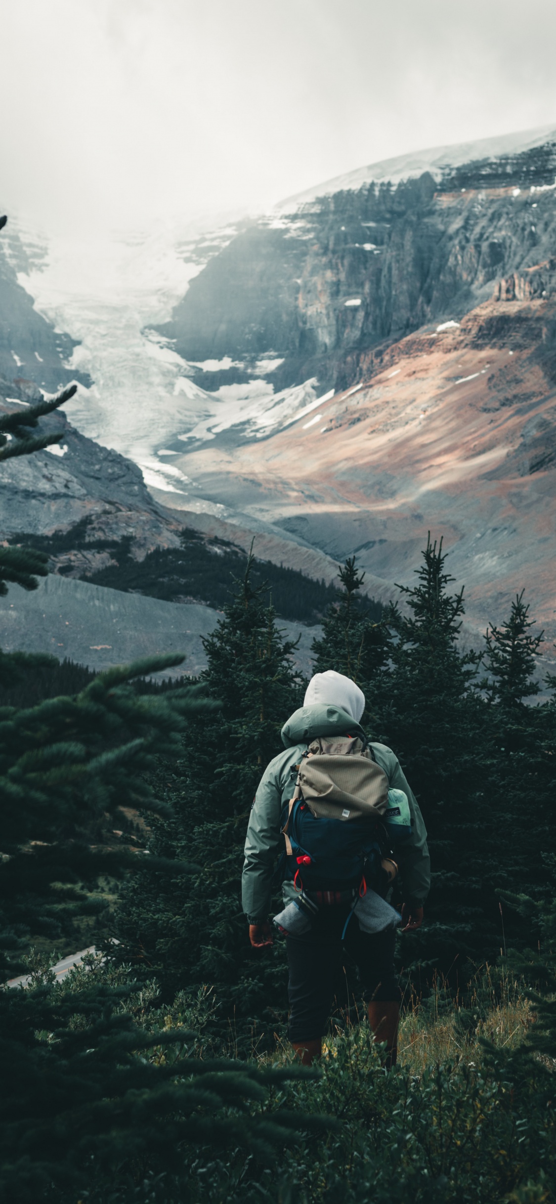 Обои Сина Вейбо, облако, гора, растение, лиственница в разрешении 1125x2436