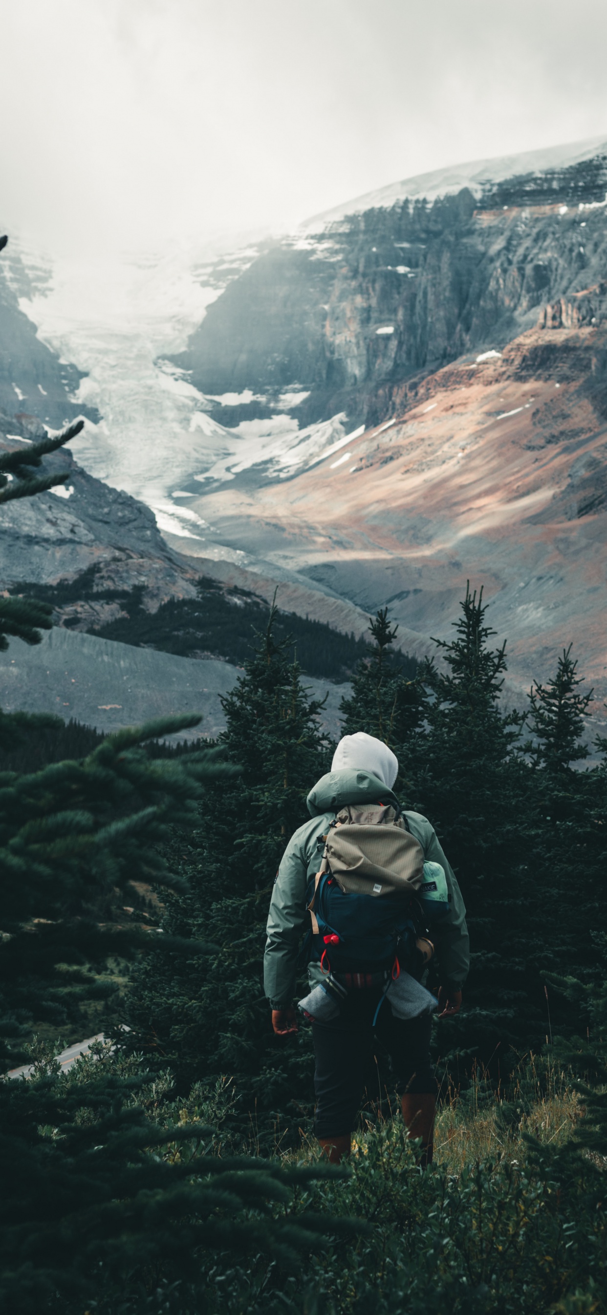 Обои Сина Вейбо, облако, гора, растение, лиственница в разрешении 1242x2688