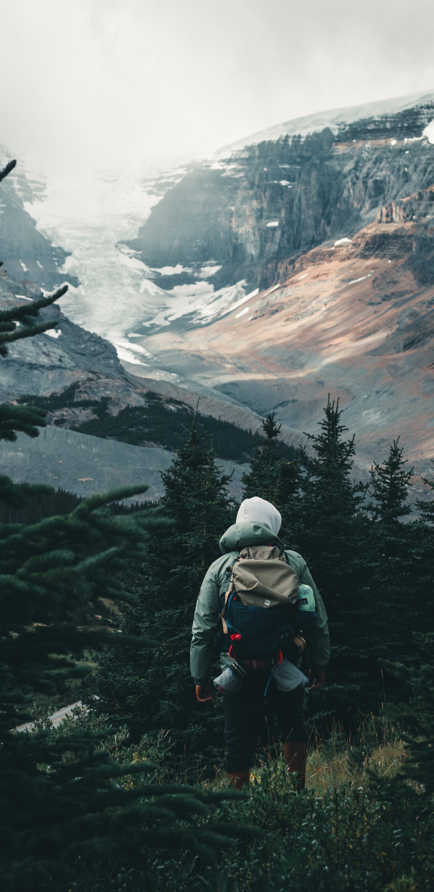 Обои Сина Вейбо, облако, гора, растение, лиственница в разрешении 1440x2960