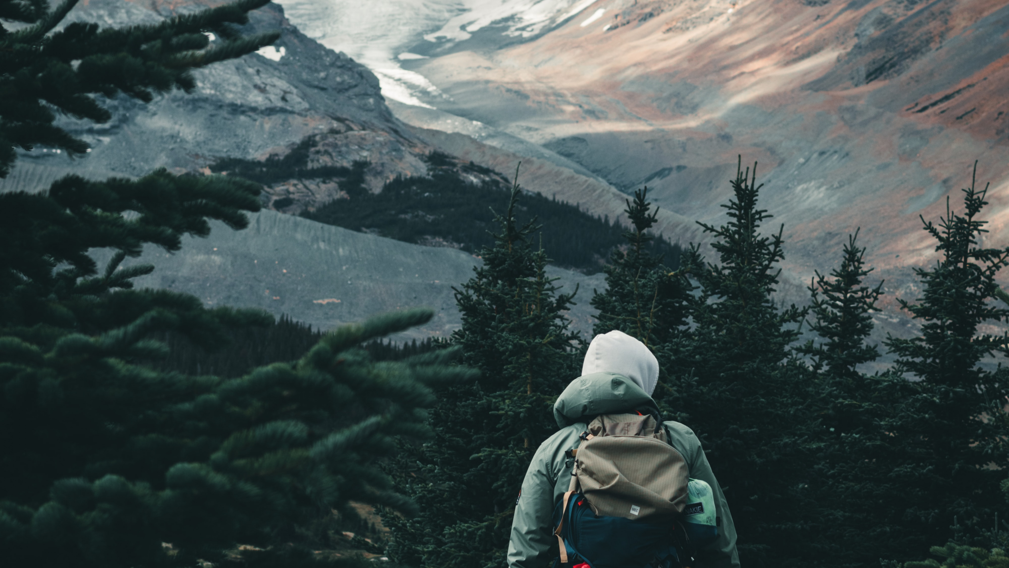 Обои Сина Вейбо, облако, гора, растение, лиственница в разрешении 3840x2160