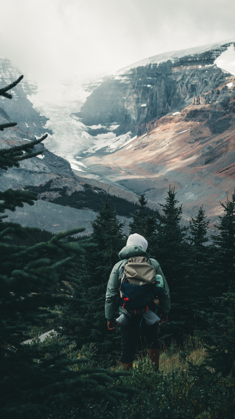 Обои Сина Вейбо, облако, гора, растение, лиственница в разрешении 750x1334