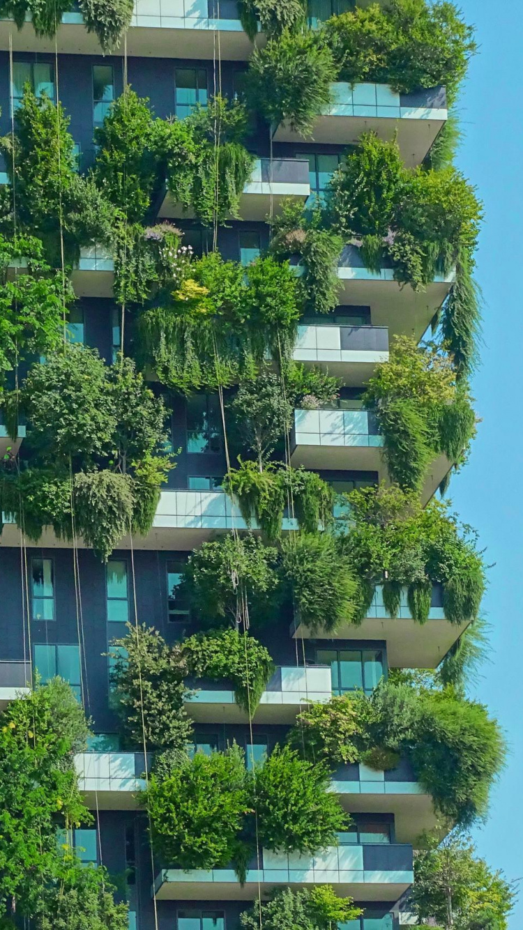 Обои растительность, Включения Боско, здание, растение, лазурный в разрешении 750x1334