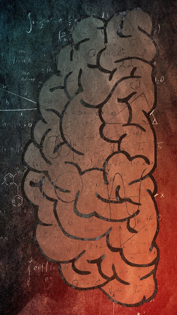 Обои интеллект, логика, математика, жест, арт в разрешении 720x1280