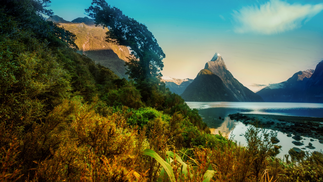Обои милфорд саунд, природа, гора, нагорье, дикая местность в разрешении 1280x720