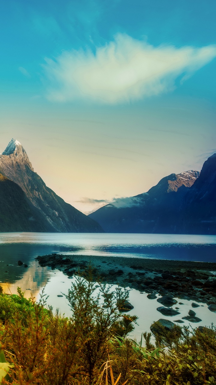 Обои милфорд саунд, природа, гора, нагорье, дикая местность в разрешении 720x1280