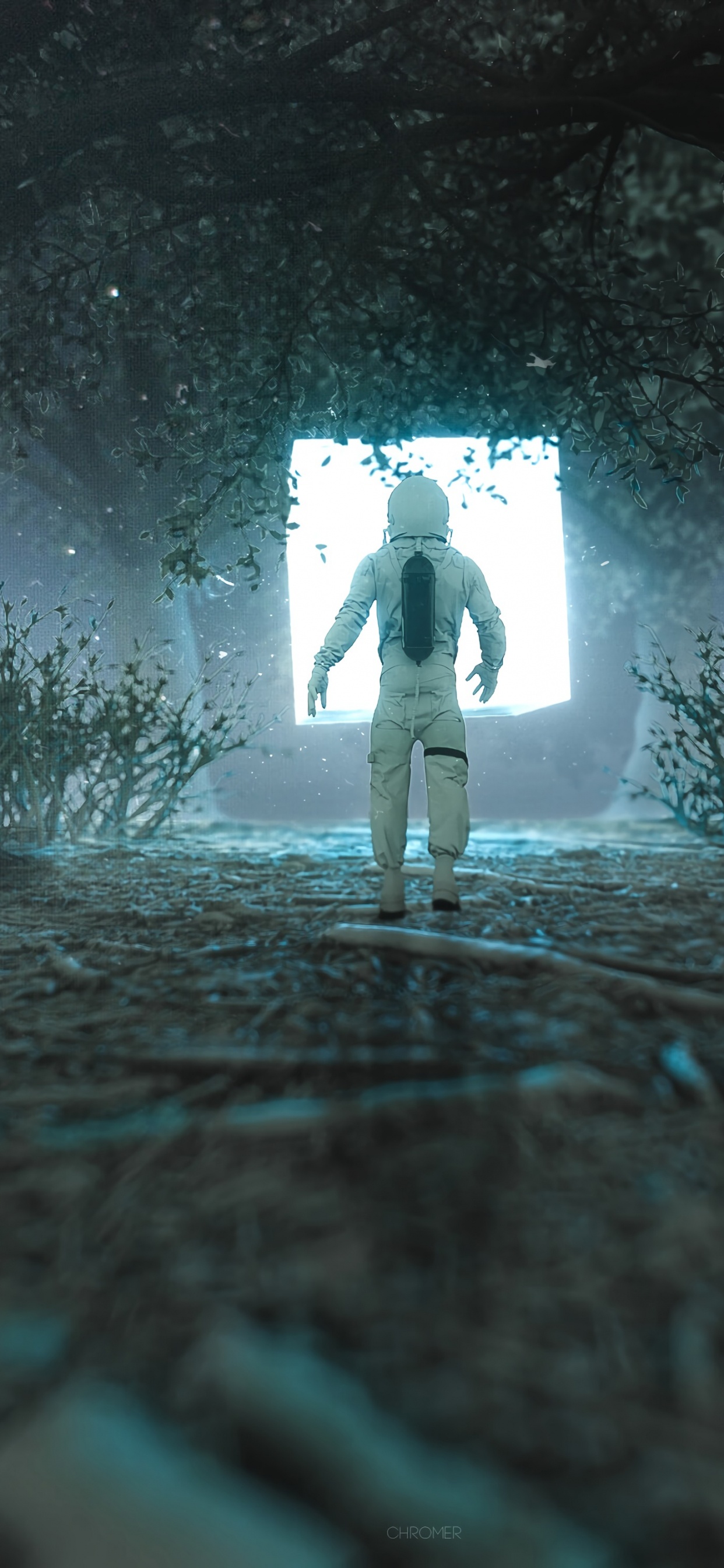 Обои лес, арт, передача, дерево, видеоэффекты в разрешении 1242x2688