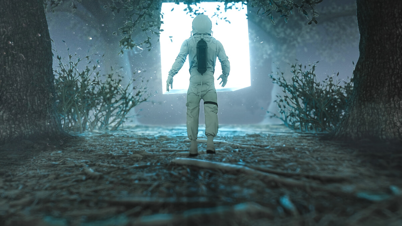 Обои лес, арт, передача, дерево, видеоэффекты в разрешении 1280x720