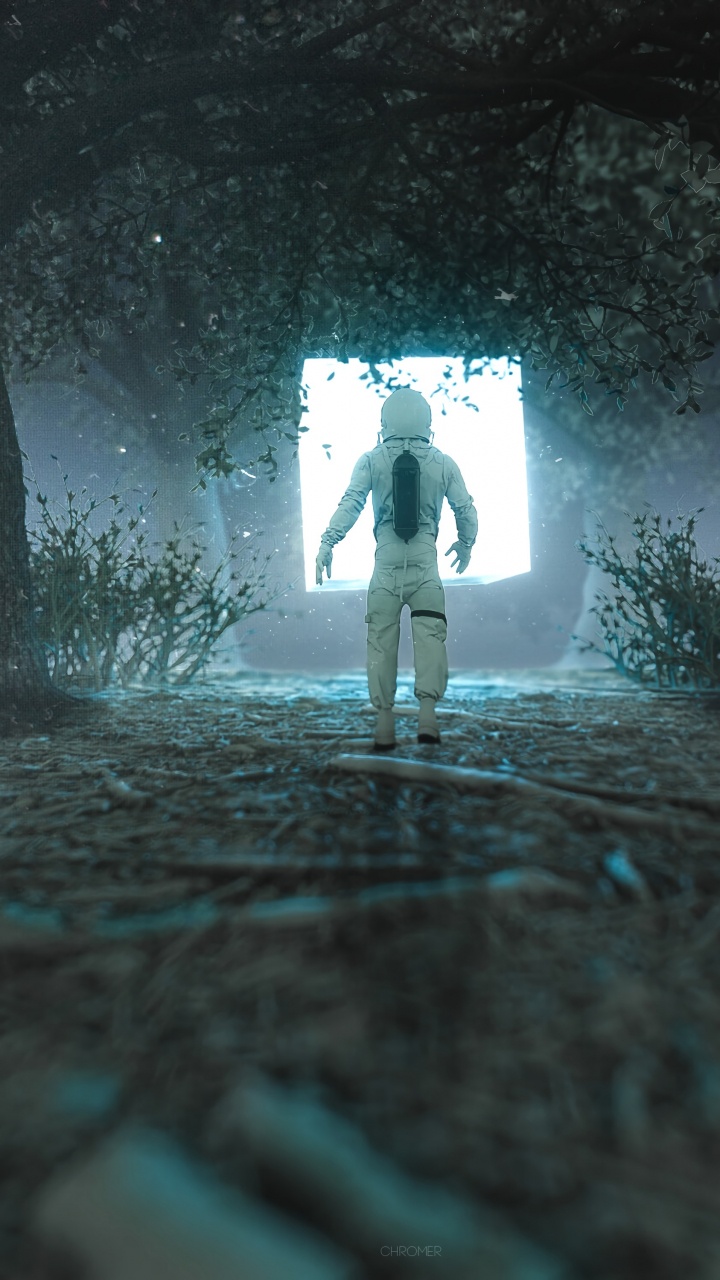 Обои лес, арт, передача, дерево, видеоэффекты в разрешении 720x1280