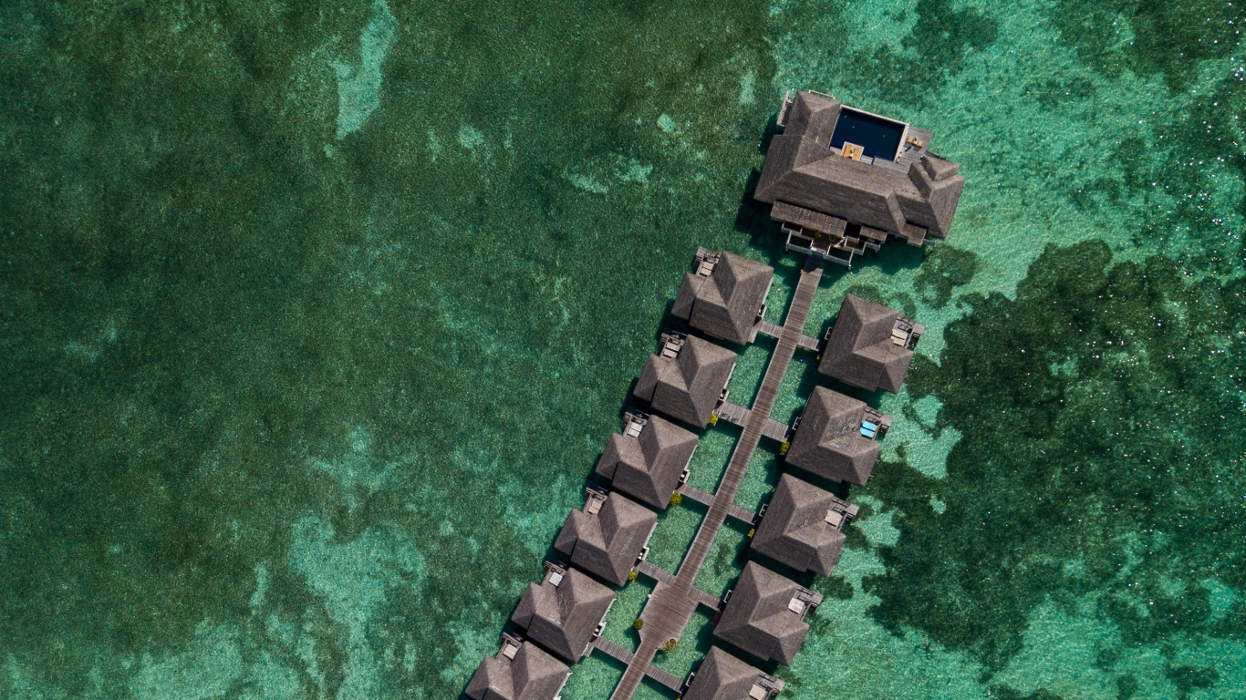 Обои смартфон, телефон, зеленый, крокодилино, крокодил в разрешении 1366x768