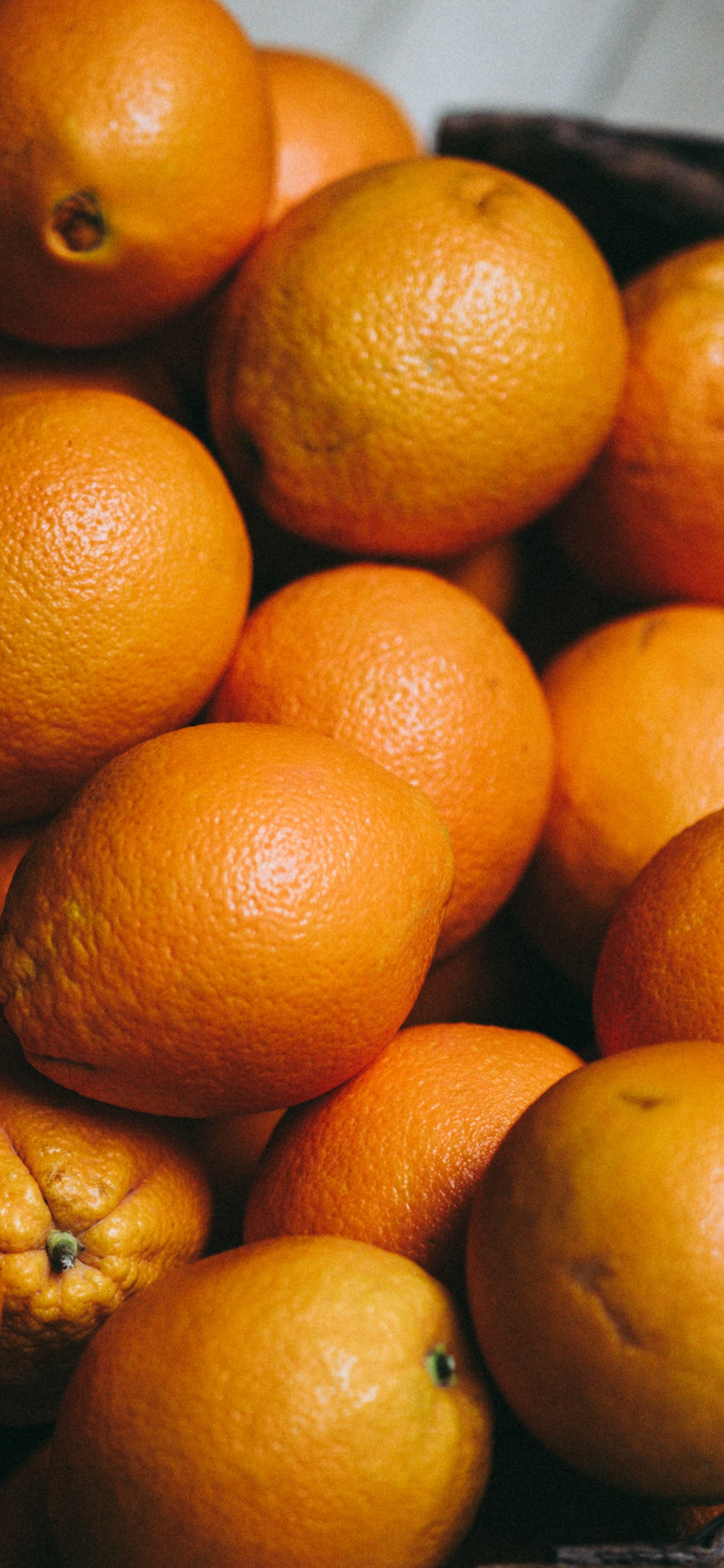 Обои Апельсин, фрукты, мандарин, Рангпур, Клементина в разрешении 1125x2436