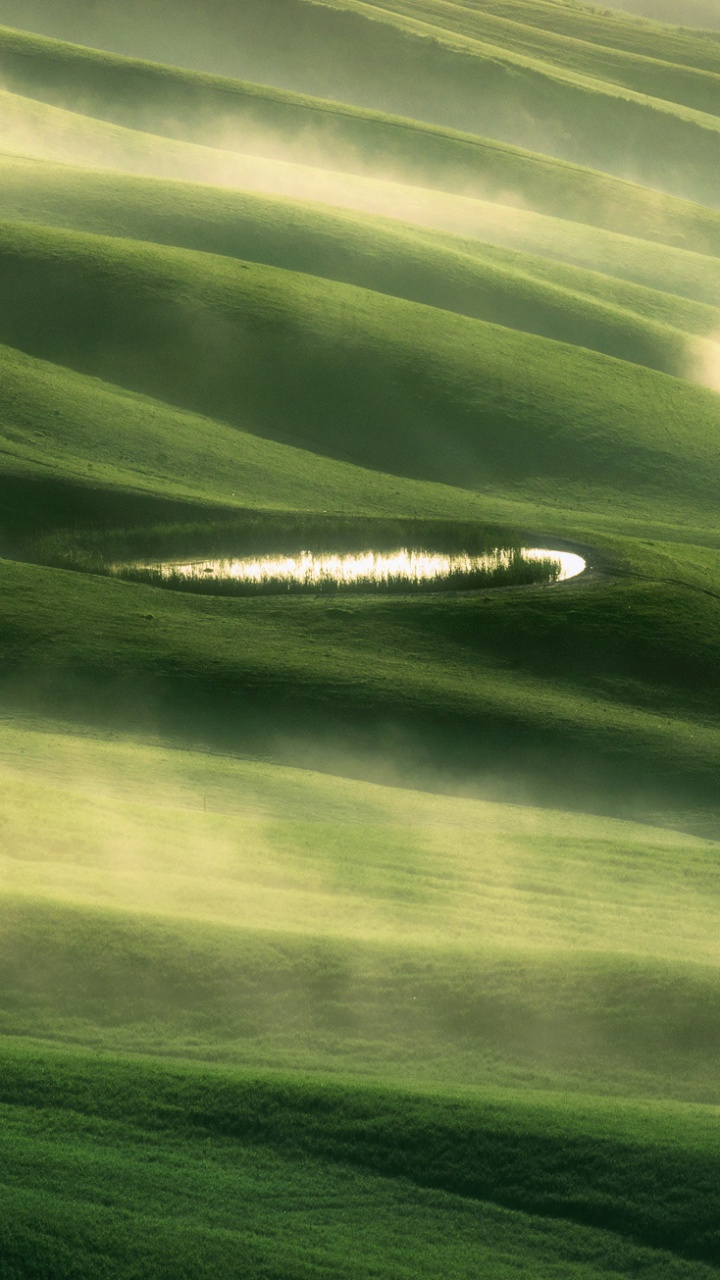 Обои Тоскана, зеленый, пейзаж, экорегион, сенокосное угодье в разрешении 720x1280