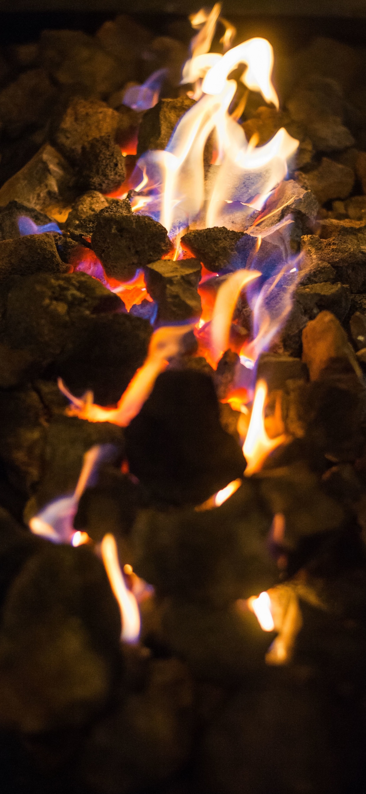 Обои пламя, тепло, огонь, свет, ночь в разрешении 1242x2688