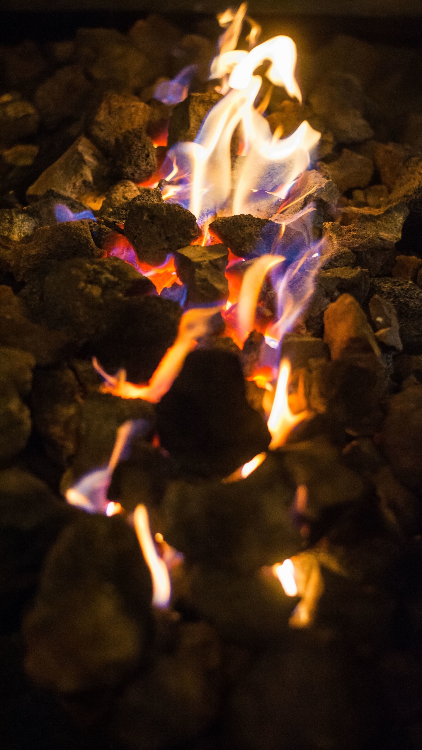 Обои пламя, тепло, огонь, свет, ночь в разрешении 1440x2560