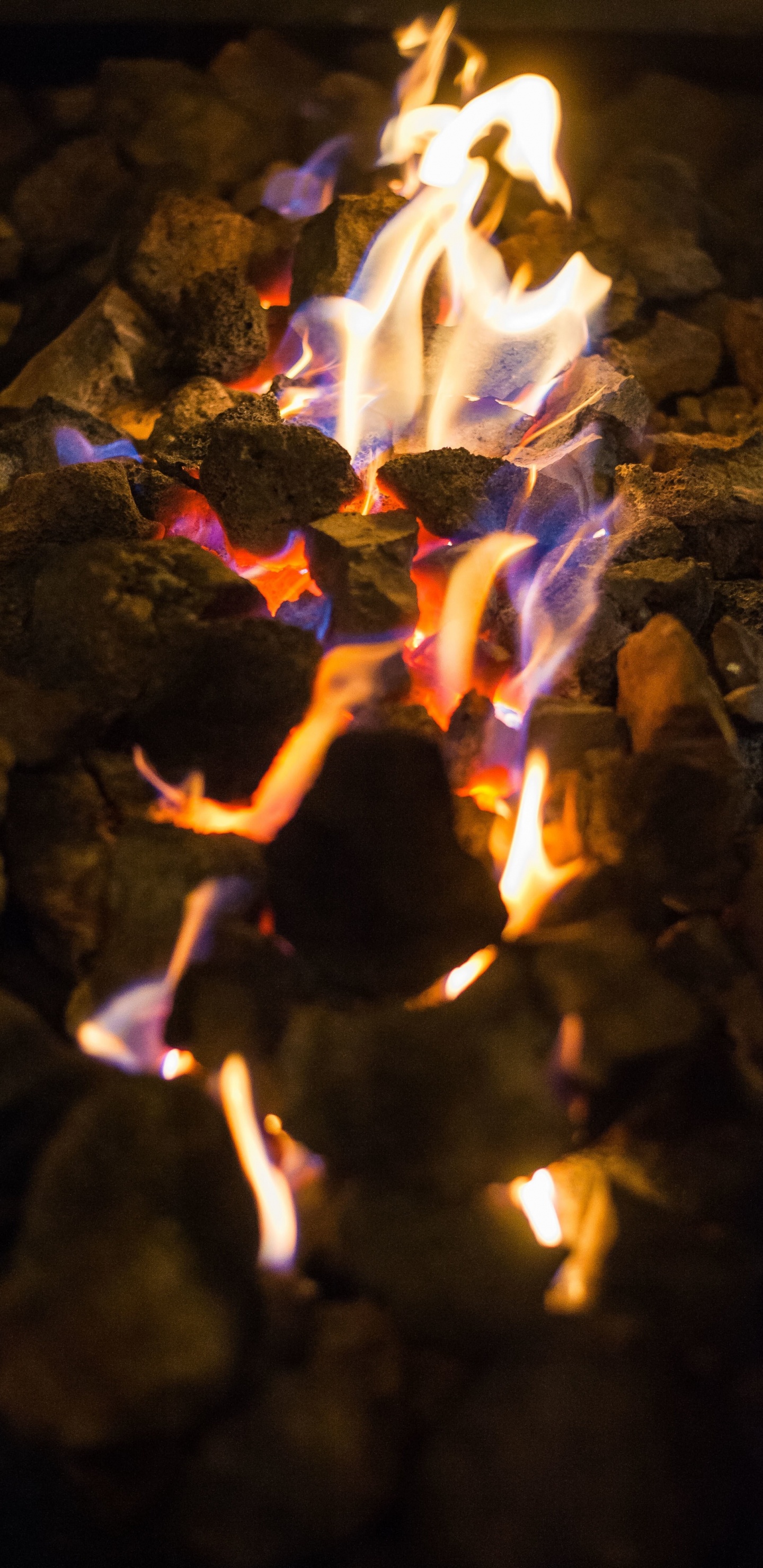 Обои пламя, тепло, огонь, свет, ночь в разрешении 1440x2960