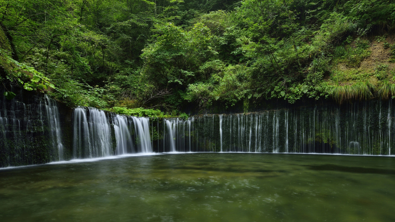 Обои Водопад Шираито, водопад, природа, гидроресурсы, водоем в разрешении 1366x768