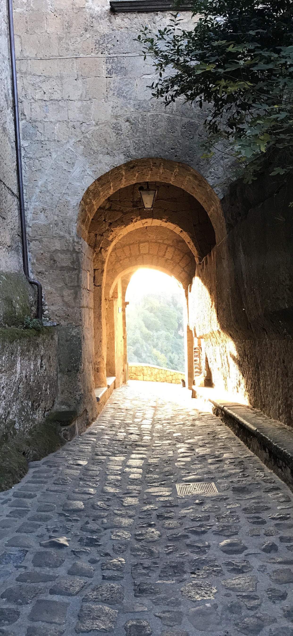 Обои аллея, средневековая архитектура, арка, здание, фортификация в разрешении 1242x2688