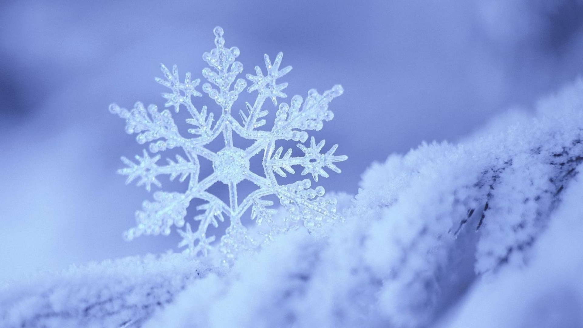 Обои зима, мороз, снег, замораживание, Снежинка в разрешении 1920x1080