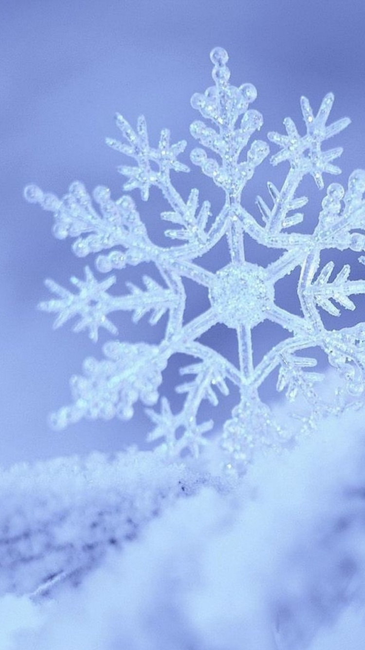 Обои зима, мороз, снег, замораживание, Снежинка в разрешении 750x1334