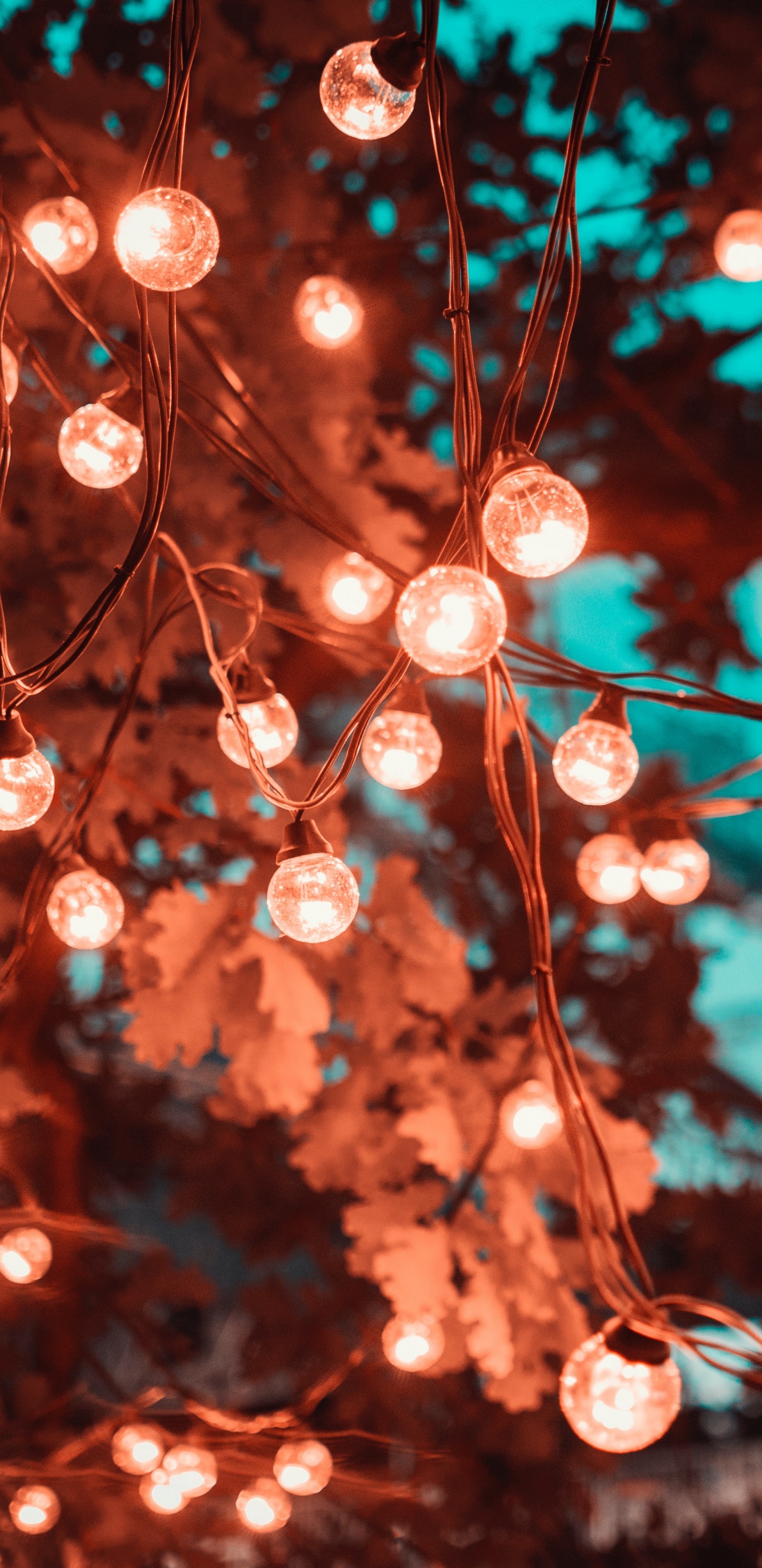 Обои освещение, Рождественские огни, свет, ветвь, Освещение Красный в разрешении 1440x2960