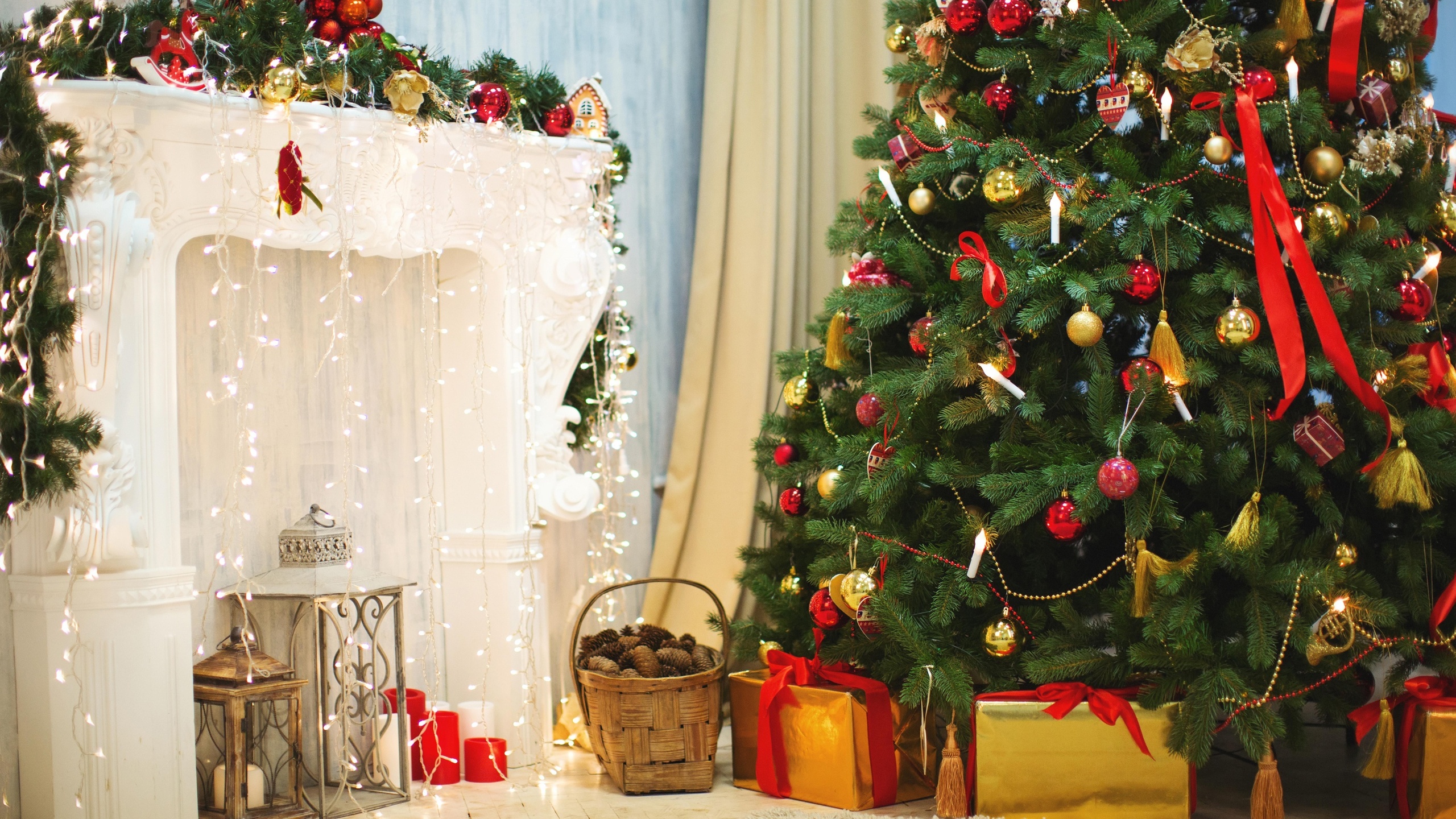 Обои новогодняя елка, елка, Рождественский день, Новый год, праздник в разрешении 2560x1440