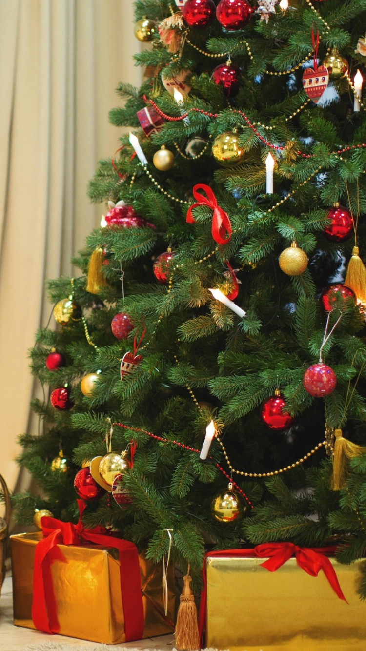 Обои новогодняя елка, елка, Рождественский день, Новый год, праздник в разрешении 750x1334