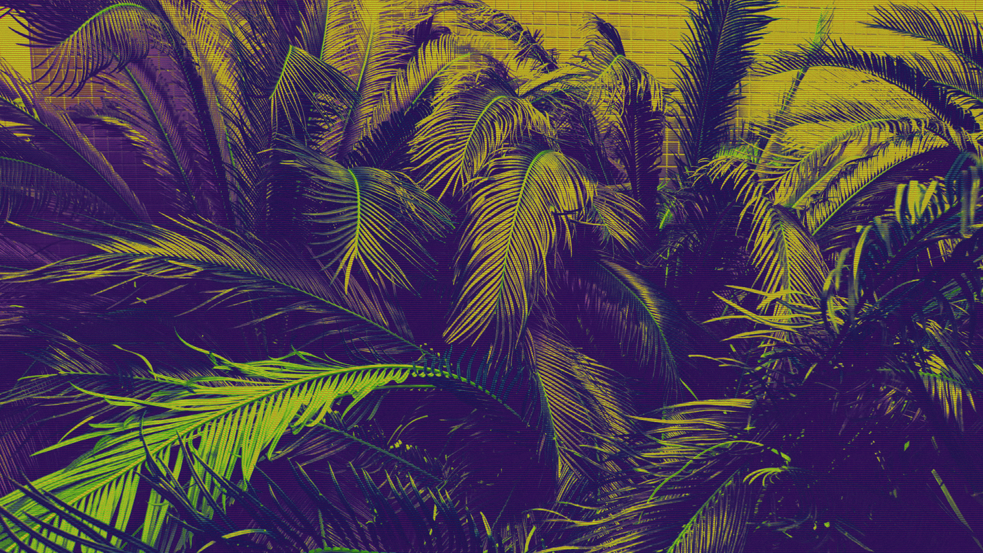 Обои арт, растение, наземное растение, дерево, цветковое растение в разрешении 1920x1080