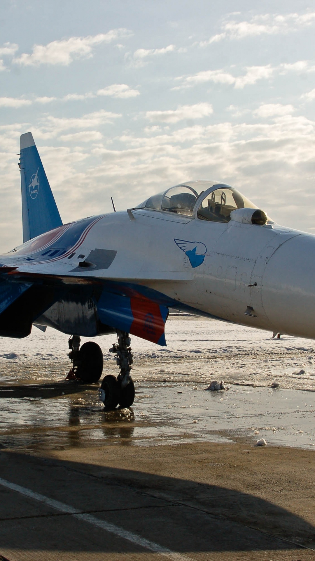 Обои самолеты, военный самолет, сухой, самолет, воздушные силы в разрешении 1080x1920