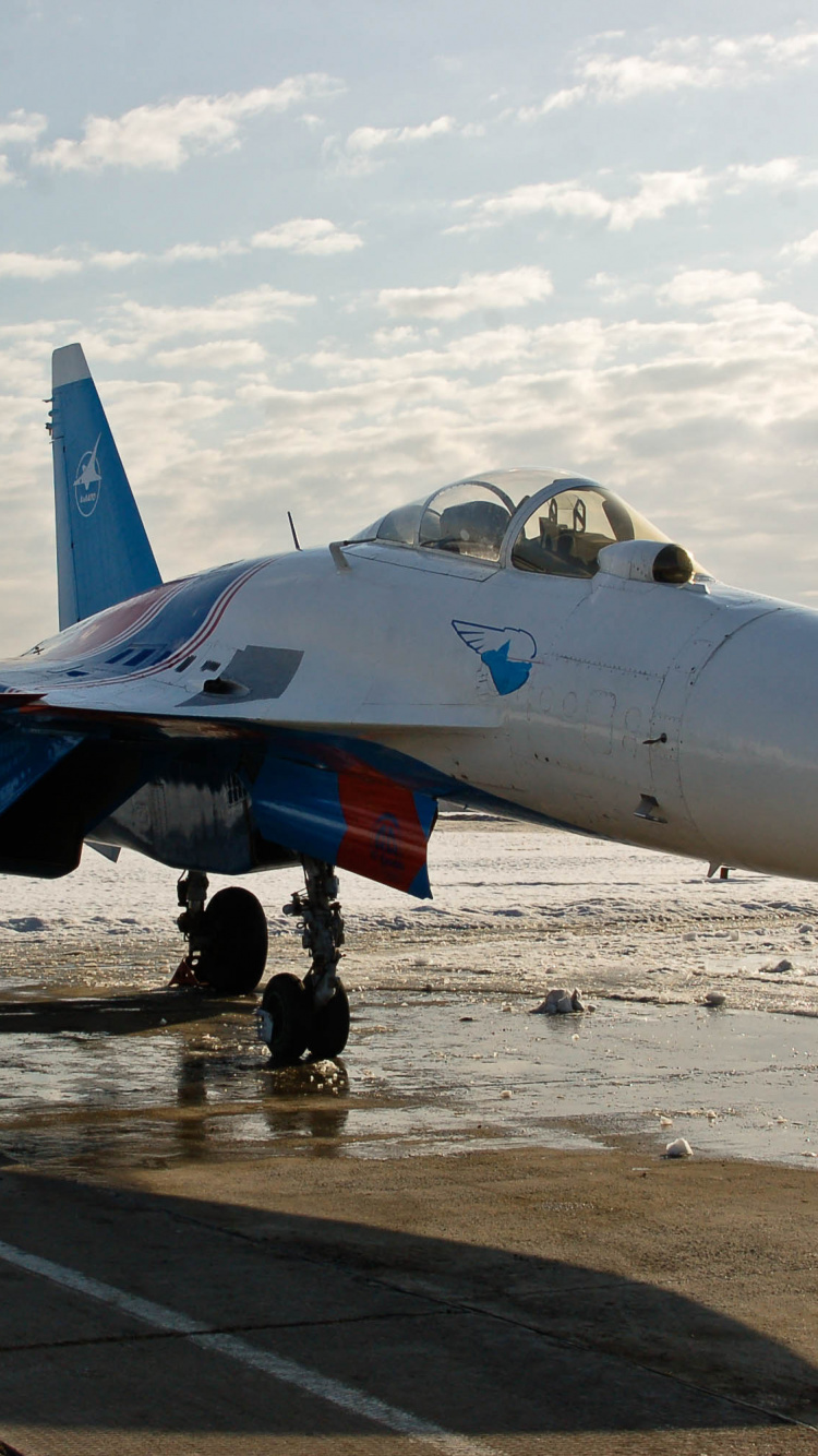 Обои самолеты, военный самолет, сухой, самолет, воздушные силы в разрешении 750x1334