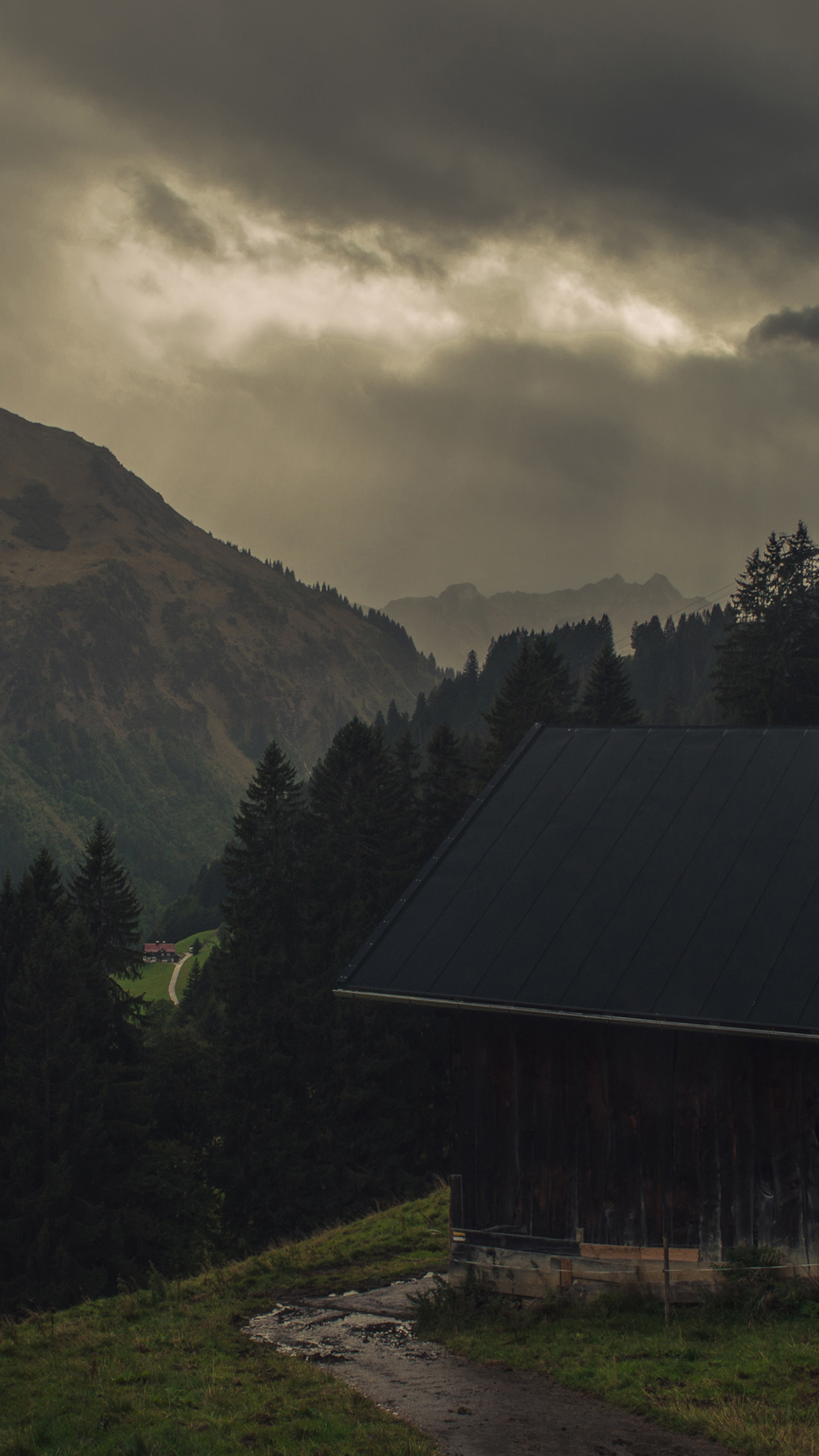 Обои облако, растение, гора, природный ландшафт, древесина в разрешении 1080x1920