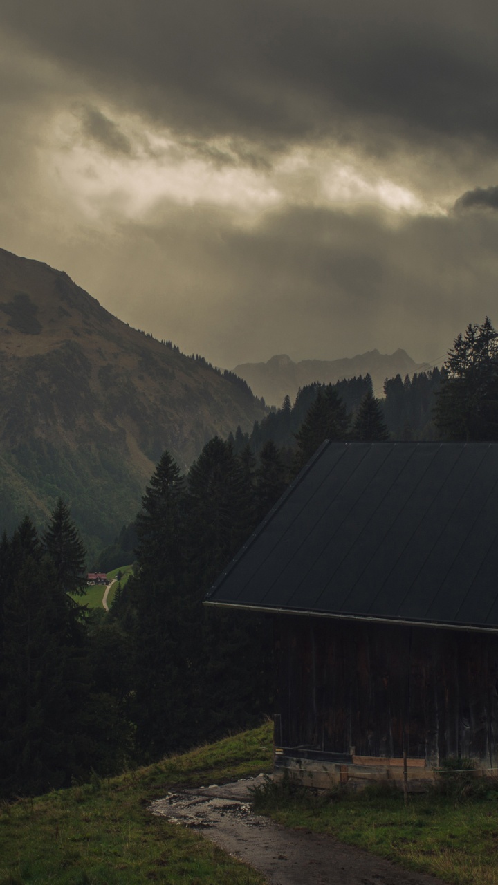 Обои облако, растение, гора, природный ландшафт, древесина в разрешении 720x1280